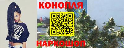 ГАЛЛЮЦИНОГЕННЫЕ ГРИБЫ Гусиноозёрск