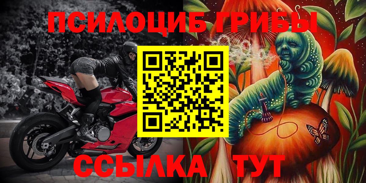 Псилоцибиновые грибы мицелий Южноуральск