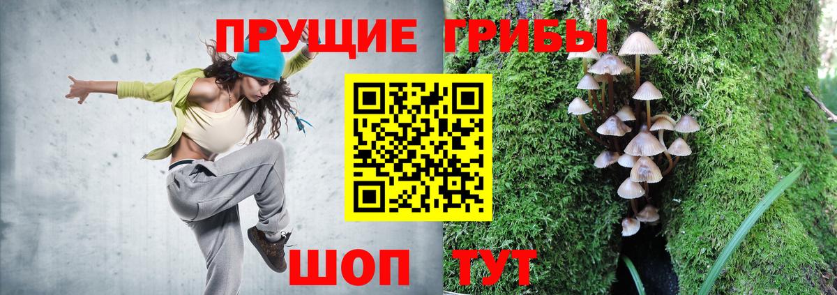 Южноуральск  Галлюциногенные грибы GOLDEN TEACHER  Вход с VPN 